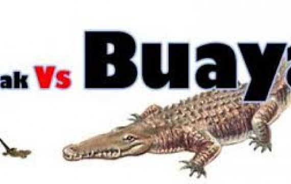 Ini Cerita Cicak dan Buaya, Tidak Termasuk Semut